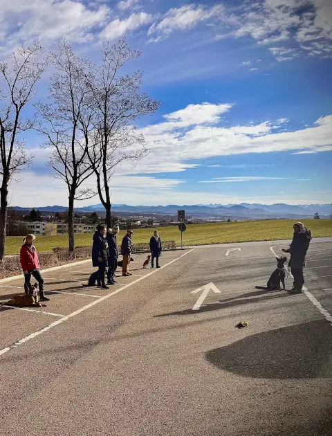 Gruppentraining | CalmDog | Dübendorf | Zumikon | Linthebene