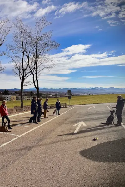 Gruppentraining | CalmDog | Dübendorf | Zumikon | Linthebene